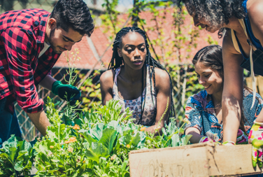 Young People In The Garden